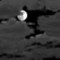 Sunday Night: Mostly cloudy, with a low around 43. Northeast wind around 5 mph. Sunday Night: Mostly Cloudy